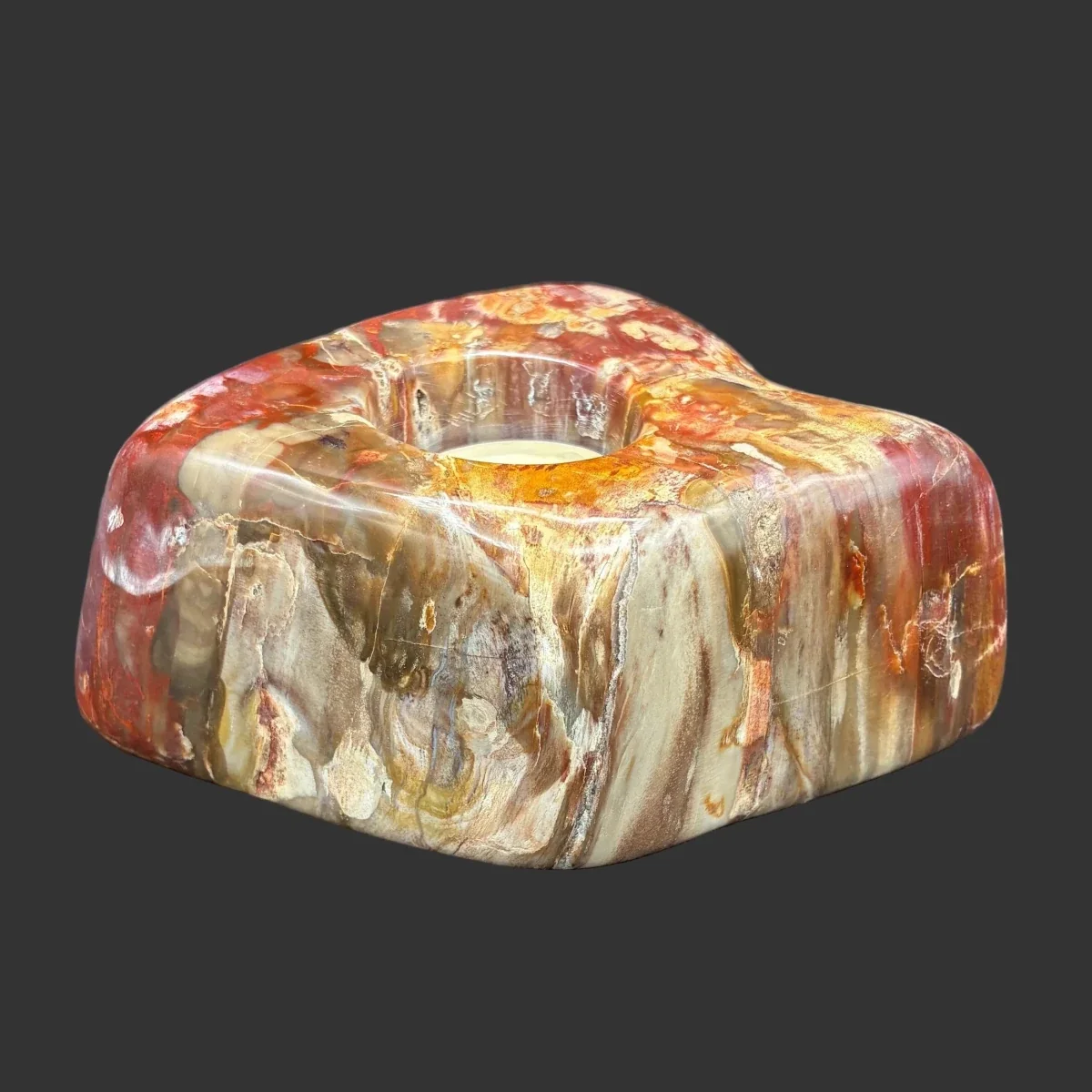 Petrified Wood